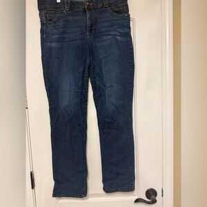 Democracy Blue Straight Leg Ab Solution Jeans